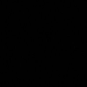 Meet your Posher, Mya